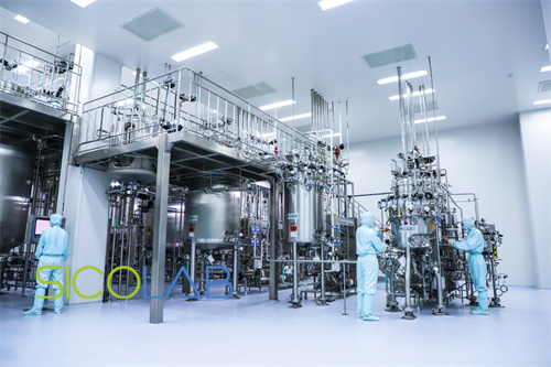 GMP凈化廠房建設(shè)