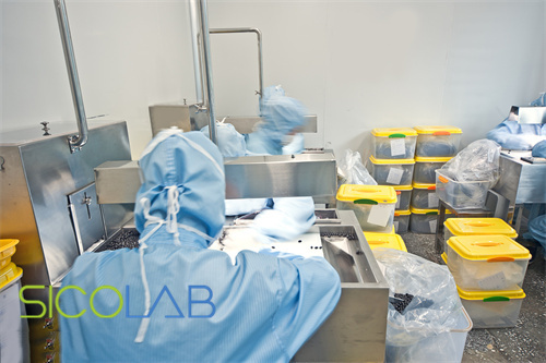 GMP凈化廠房設(shè)計