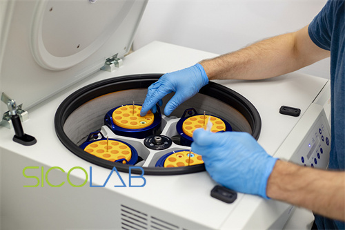 胚胎干細(xì)胞GMP凈化車間裝修