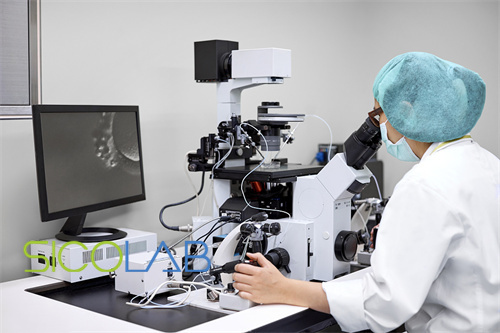 三類醫(yī)療器械潔凈車間布局