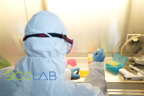 負(fù)壓隔離病房建設(shè)配置基本要求