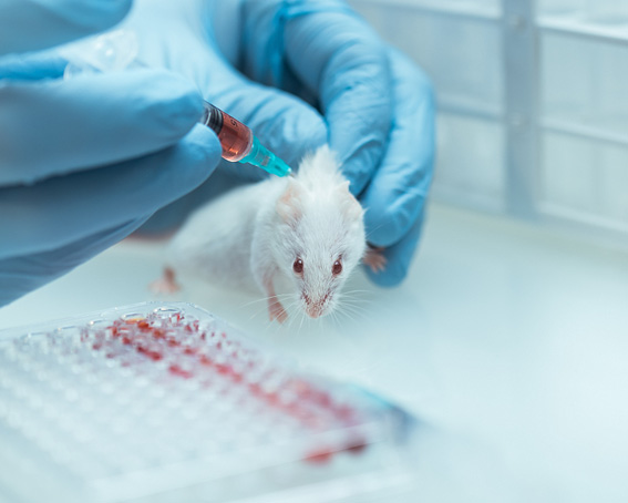 實(shí)驗(yàn)動(dòng)物房環(huán)境的嚴(yán)格控制