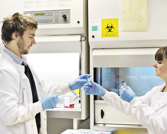 醫(yī)學(xué)病毒學(xué)生物安全三級(jí)動(dòng)物實(shí)驗(yàn)室的建立